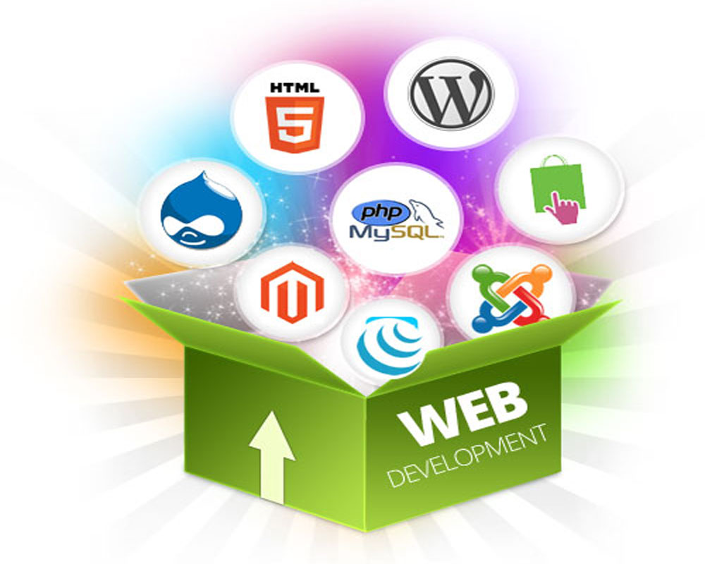 Website Designing Company in Shahjahanpur